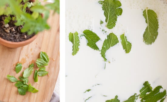 fresh spearmint and cream