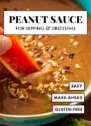 peanut sauce recipe