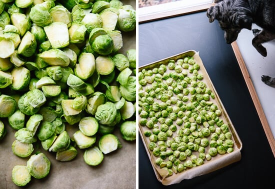 brussels sprouts