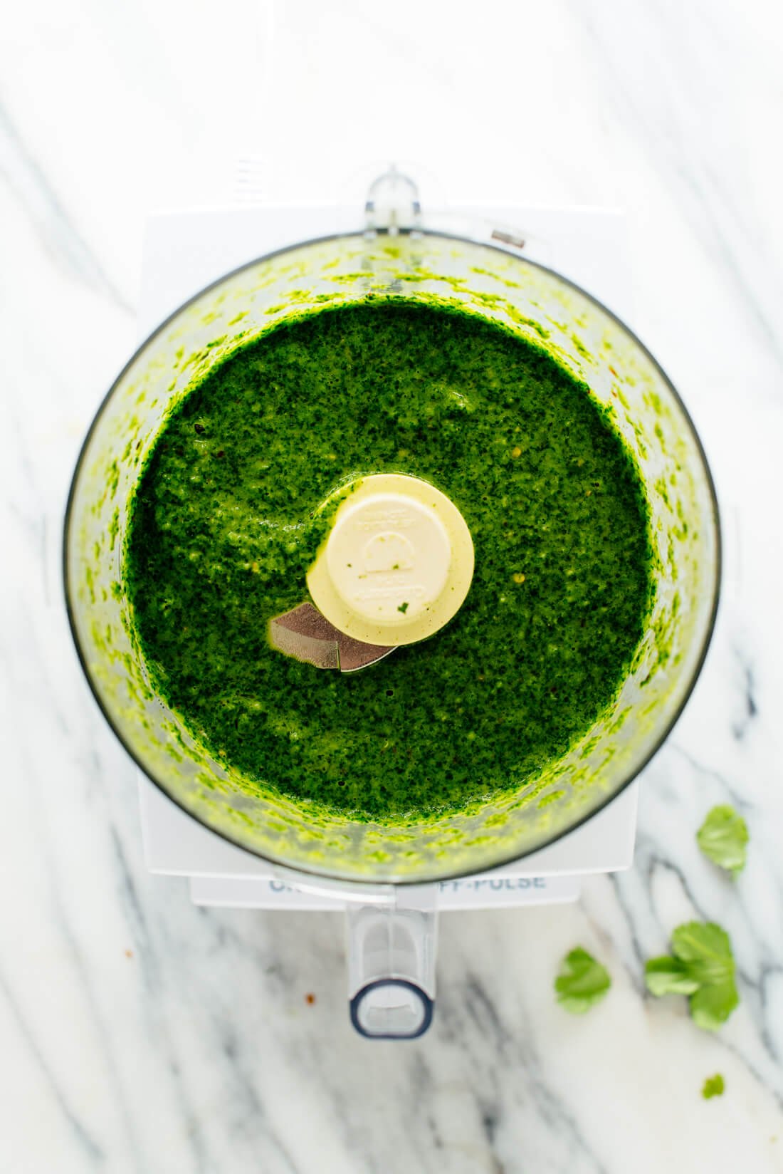 zhoug sauce in food processor