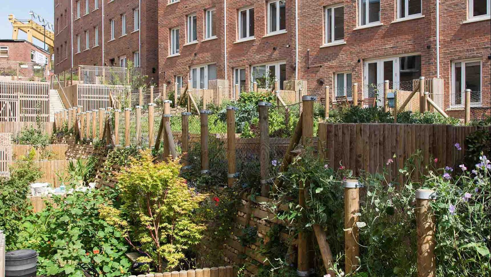 A photograph of planters in a community garden